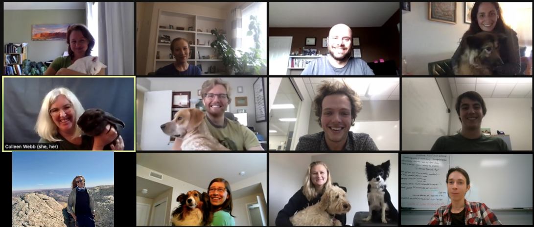 lab photo